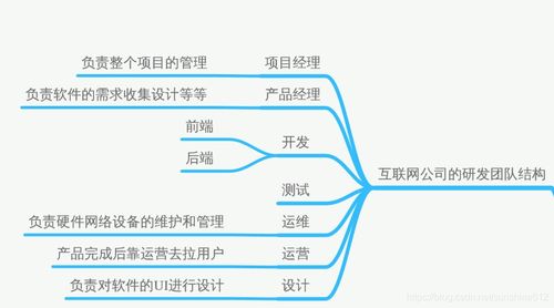 軟測(cè)基礎(chǔ) 測(cè)試流程詳細(xì)解釋