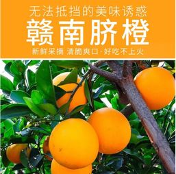 甜入心扉的贛南珍品——5斤江西贛州薄皮臍橙，品味正宗鮮甜的舌尖盛宴