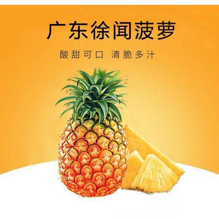 徐聞鳳梨 嶺南佳果，香甜禮贈——探秘廣東特產新鮮大菠蘿